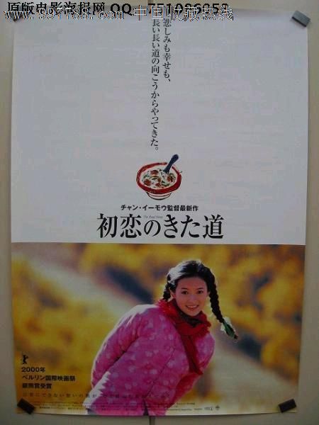 怎么办假华盛顿州驾驶证
